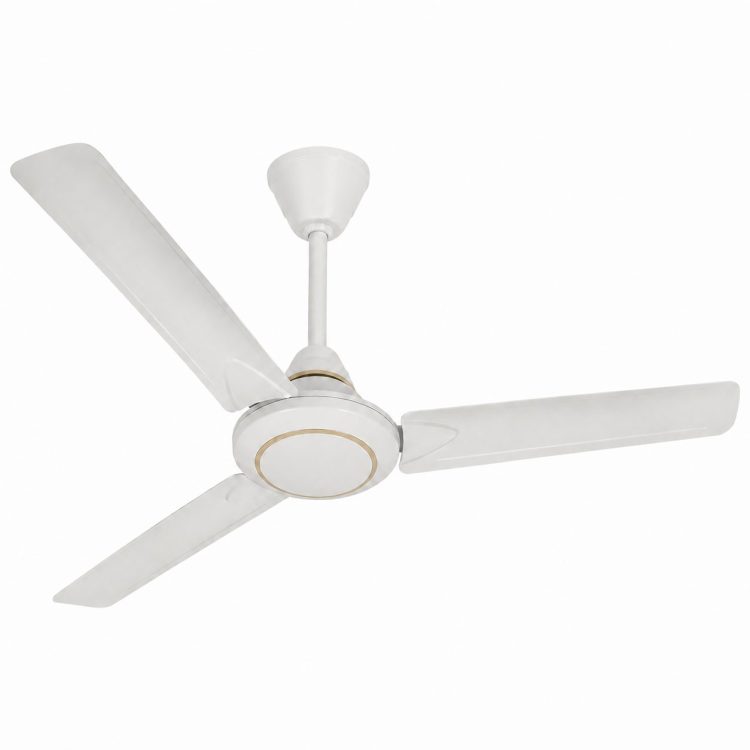 Ceiling Fan