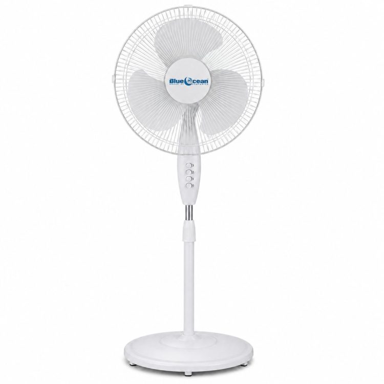 Stand Fan